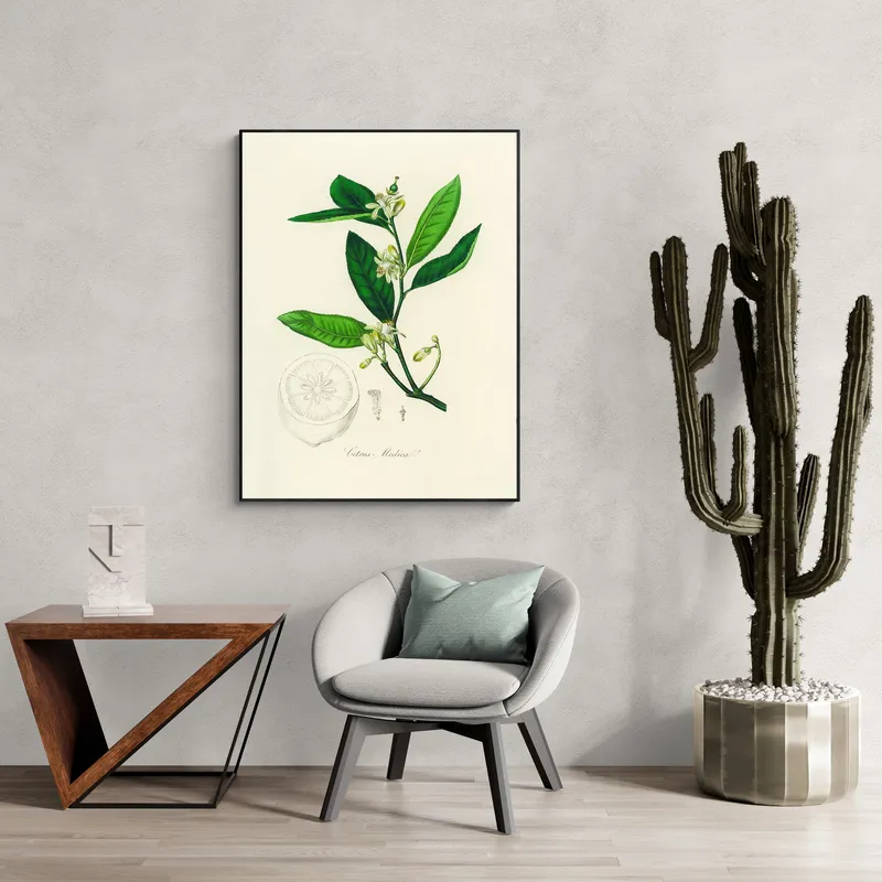 Постер «Ветка лимона» на стене в офисе