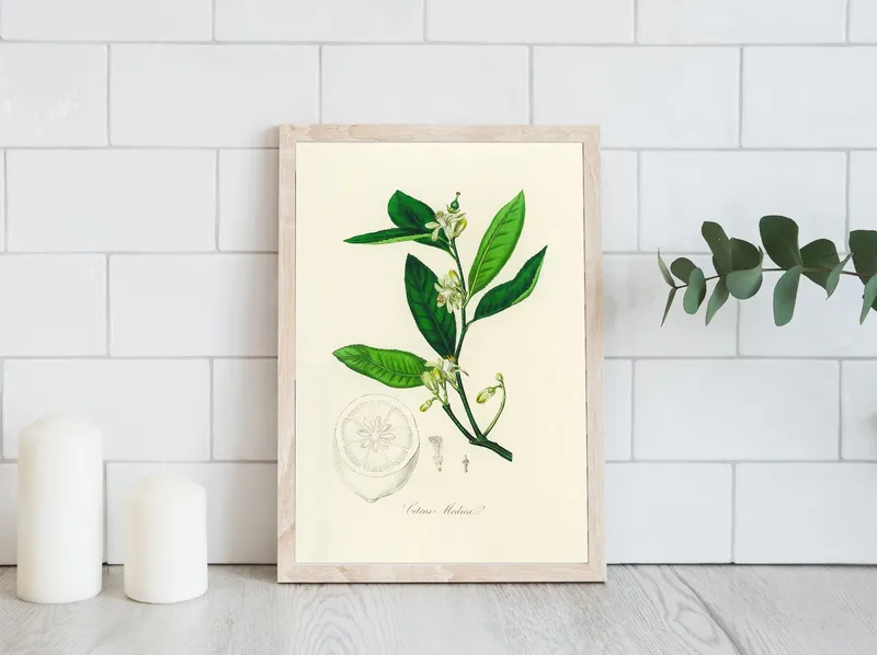 Постер «Ветка лимона» над диваном в гостиной