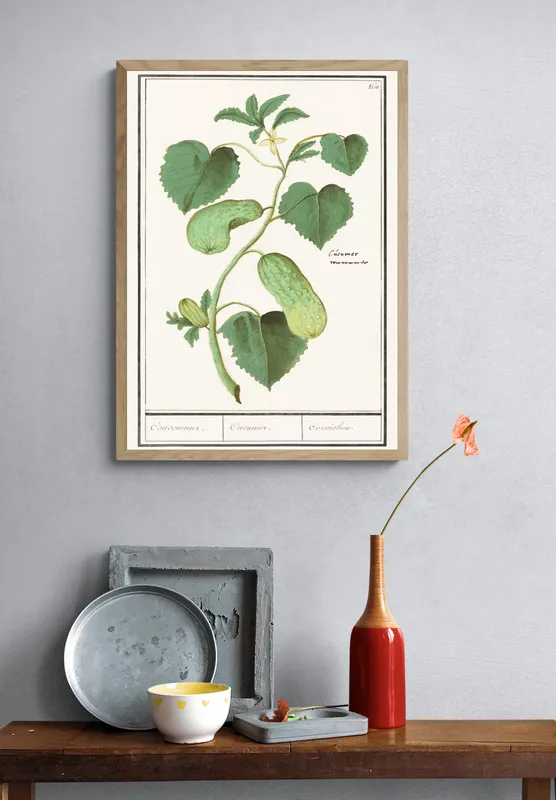 Постер «Овощи - Огурцы обыкновенные» над диваном в гостиной