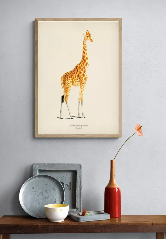 Постер «Жираф - Одинокий жираф» на стене в офисе
