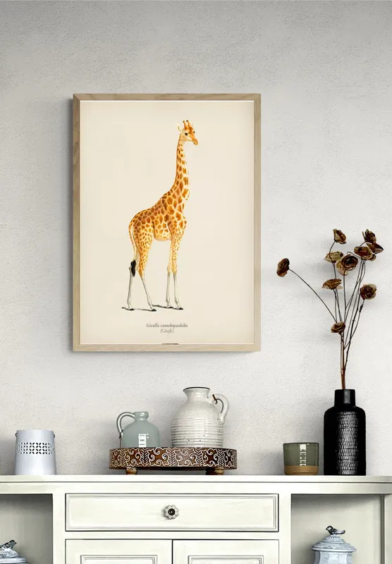 Постер «Жираф - Одинокий жираф» над диваном в гостиной