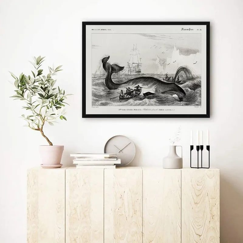 Постер «Охота на китов» на стене в офисе