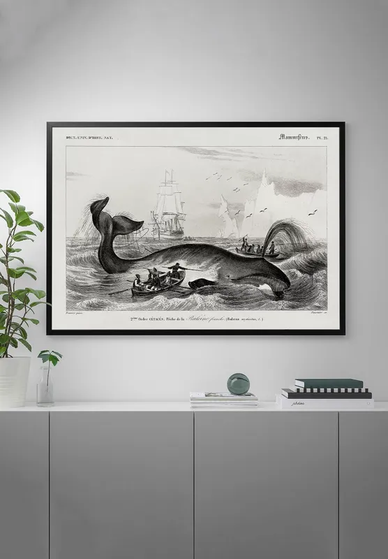 Постер «Охота на китов» над диваном в гостиной