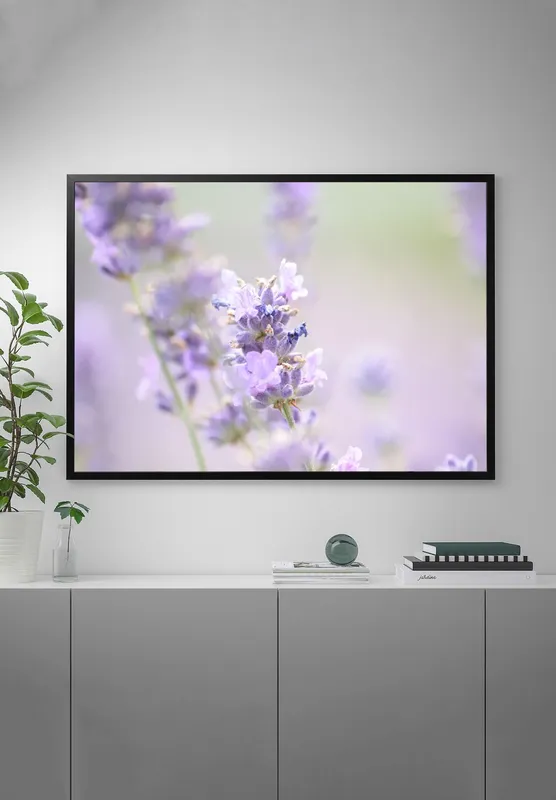 Постер «Полевые цветы лаванда» на стене в офисе
