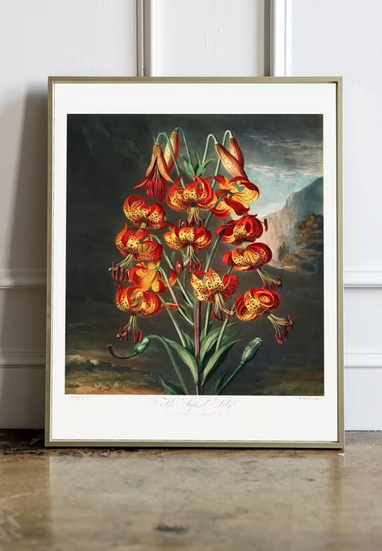 Постер «Великолепная лилия» на стене в офисе