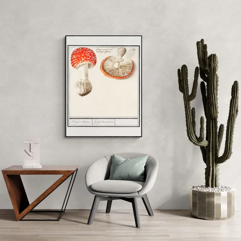 Постер «Грибы - Мухомор Amanita muscaria» над диваном в гостиной