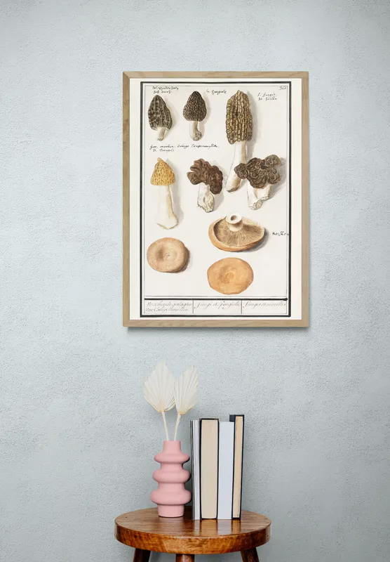 Постер «Грибы - Грибы сморчки Morieljes» над диваном в гостиной