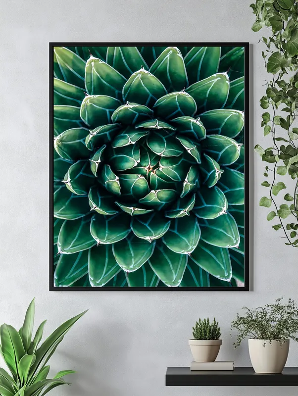 Постер «Разновидность кактуса» на стене в офисе