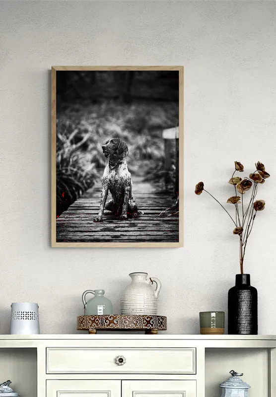 Постер «Собака на мостике» на стене в офисе