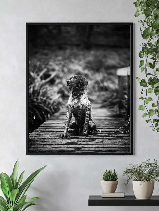 Постер «Собака на мостике» над диваном в гостиной