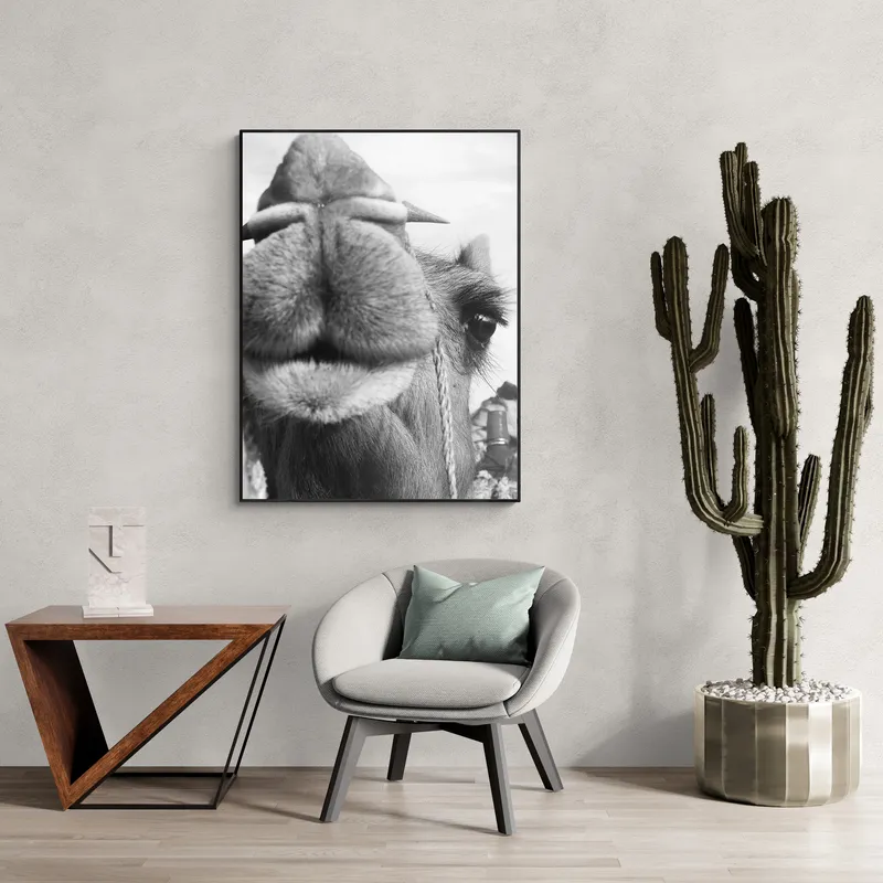 Постер «Верблюд крупным планом» на стене в офисе