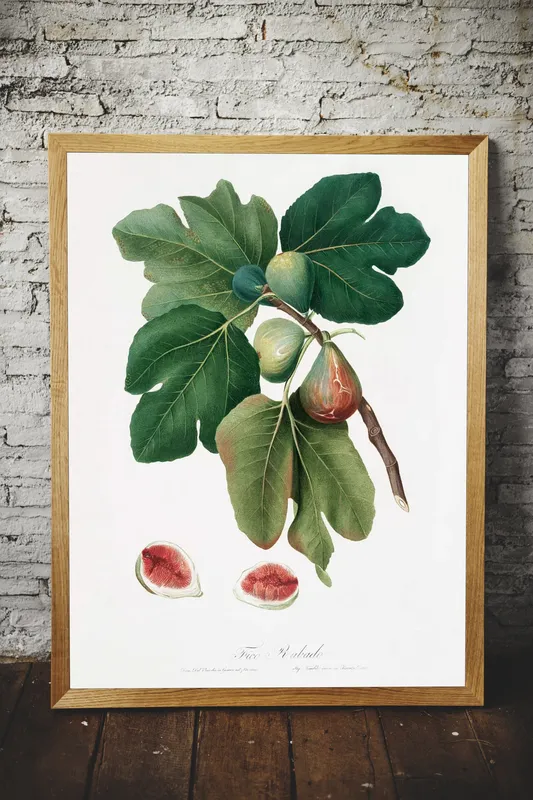 Постер «Веточка инжира» на стене в офисе