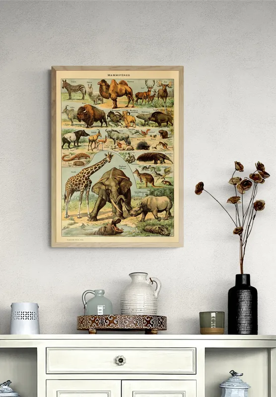 Постер «Виды млекопитающих» над диваном в гостиной