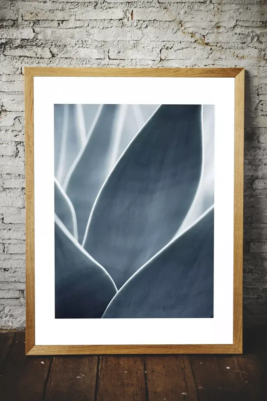 Постер «Холодные Оттенки - Агава» на стене в офисе