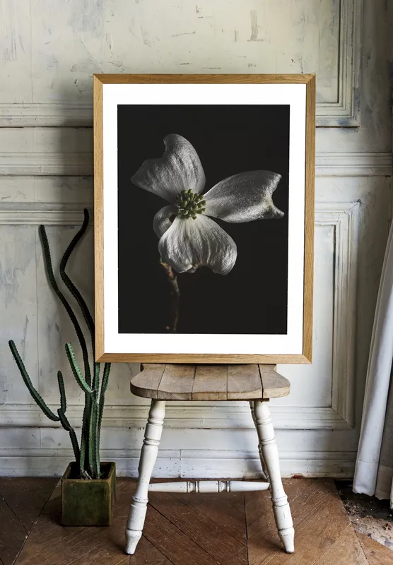 Постер «Цветение кизила» над диваном в гостиной