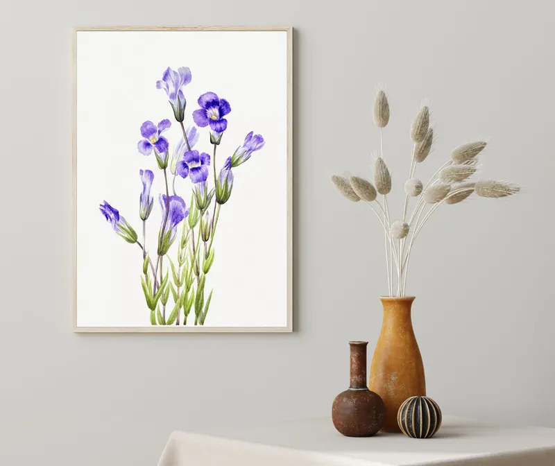 Постер «Дикие цветы - Горечавка луговая» над диваном в гостиной