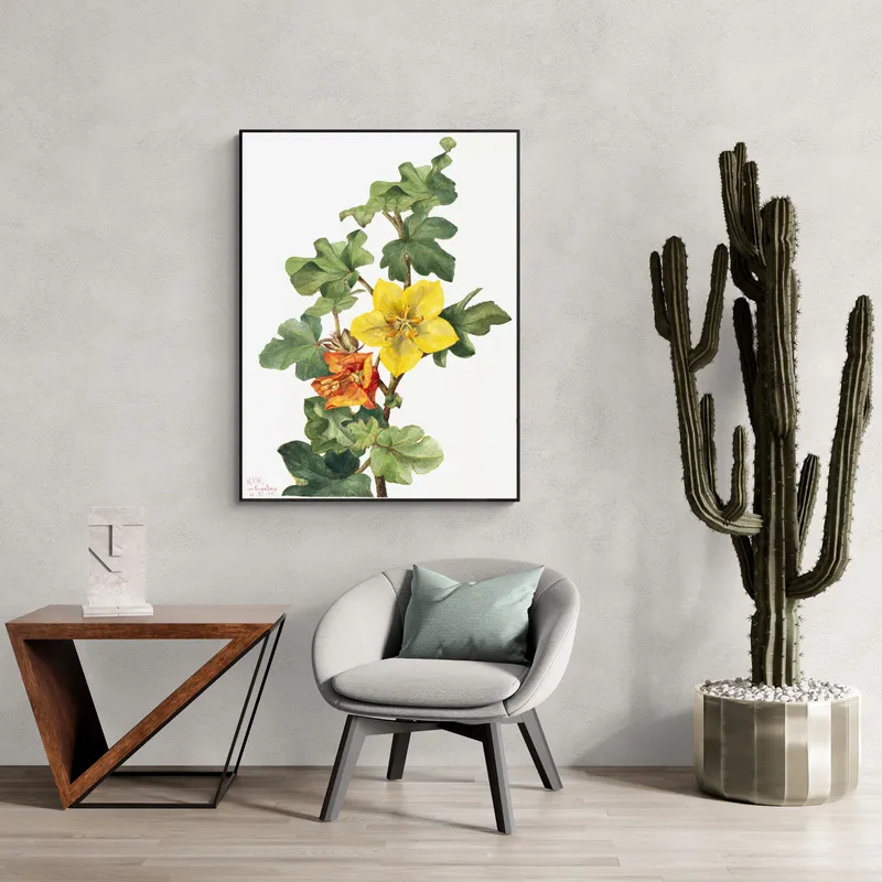 Постер «Дикие цветы - Фремонтия мексиканская» на стене в офисе