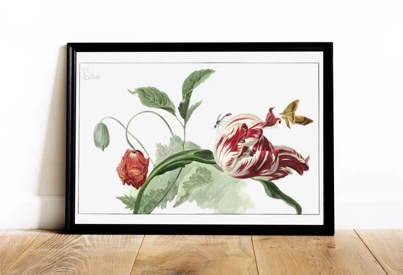 Постер «Тюльпан и мак» на стене в офисе