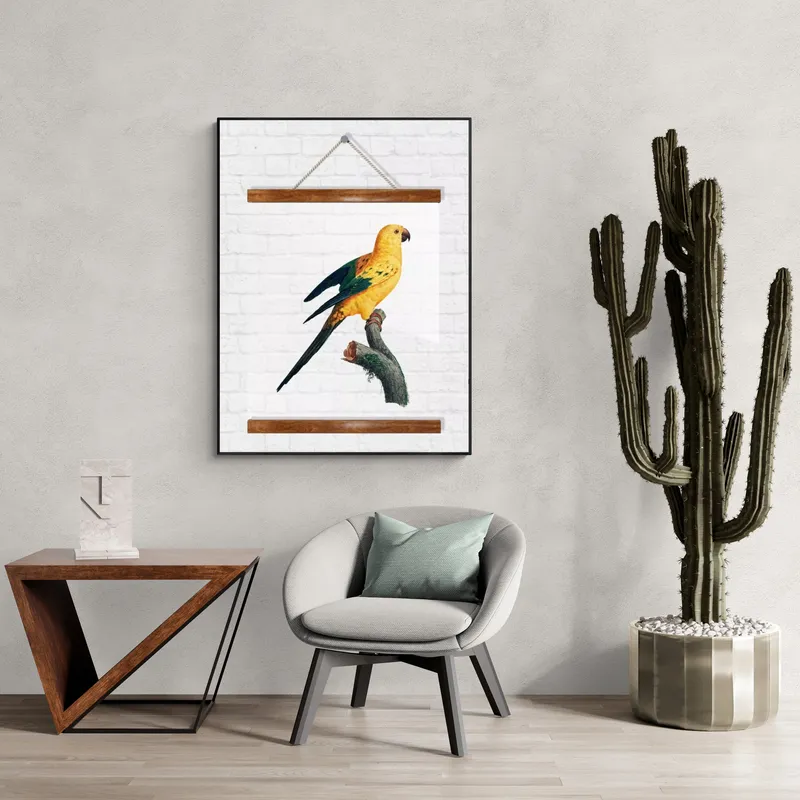 Постер «Прозрачный постер - Желтый попугай» на стене в офисе