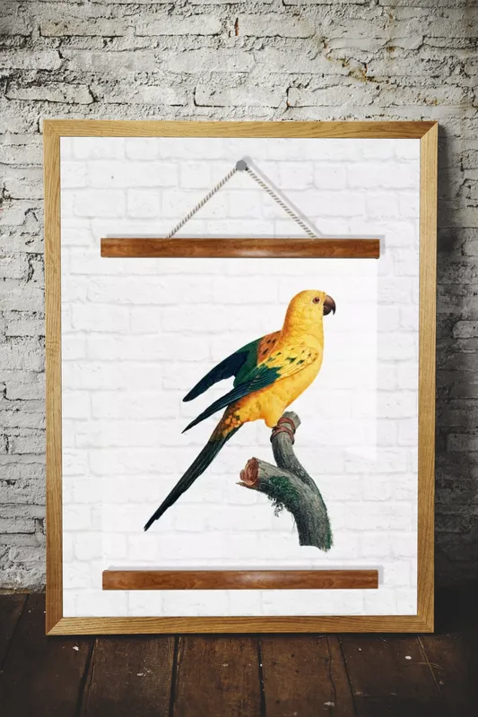 Постер «Прозрачный постер - Желтый попугай» над диваном в гостиной