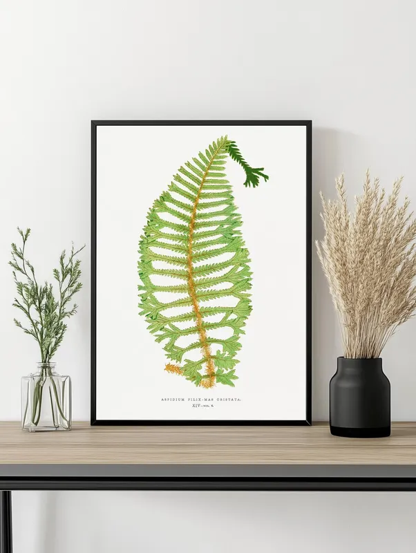 Постер «Листья - Экзотический папоротник» на стене в офисе