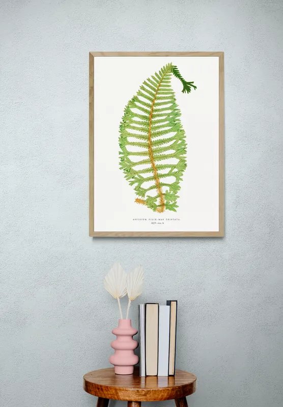 Постер «Листья - Экзотический папоротник» над диваном в гостиной