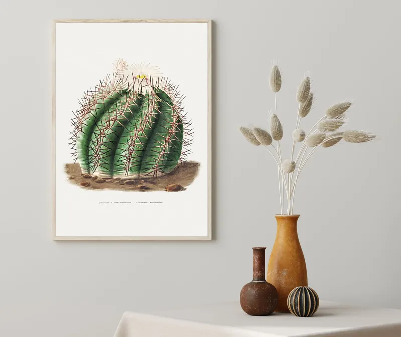 Постер «Кактус Эхинопсис» над диваном в гостиной