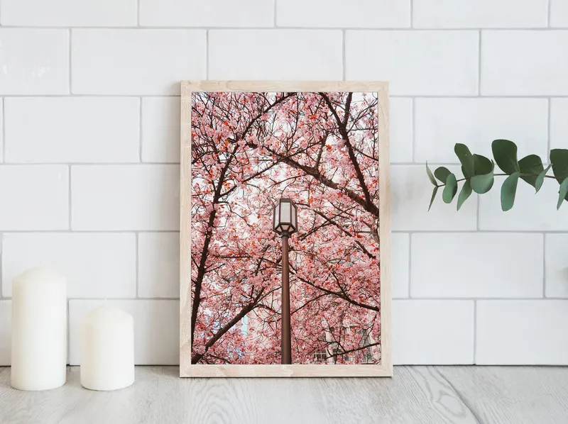 Постер «Завораживающее цветение сакуры» на стене в офисе