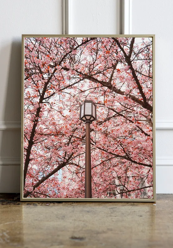 Постер «Завораживающее цветение сакуры» над диваном в гостиной