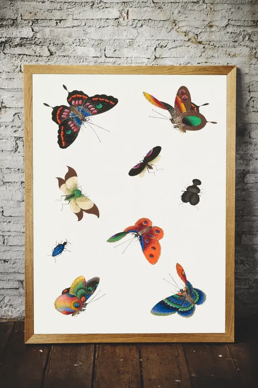 Постер «Бабочки - Танец ярких бабочек» над диваном в гостиной