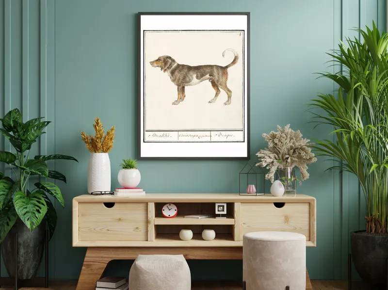 Постер «Бигль или брак» на стене в офисе