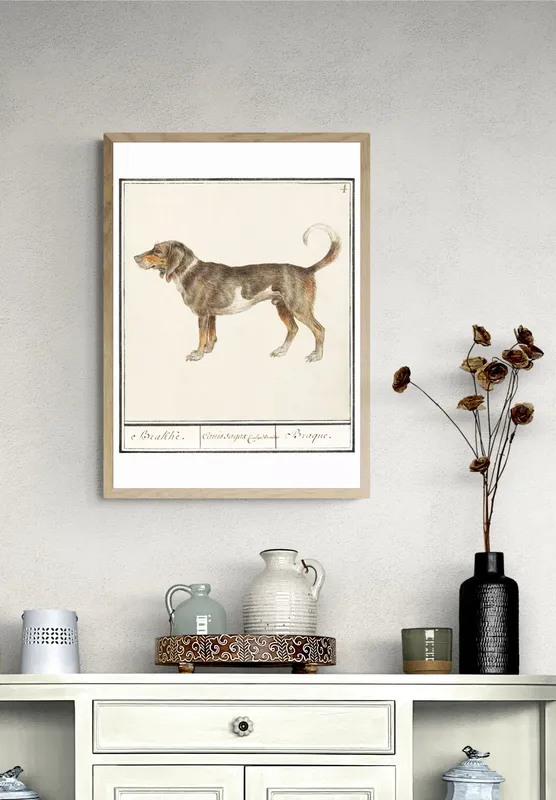 Постер «Бигль или брак» над диваном в гостиной