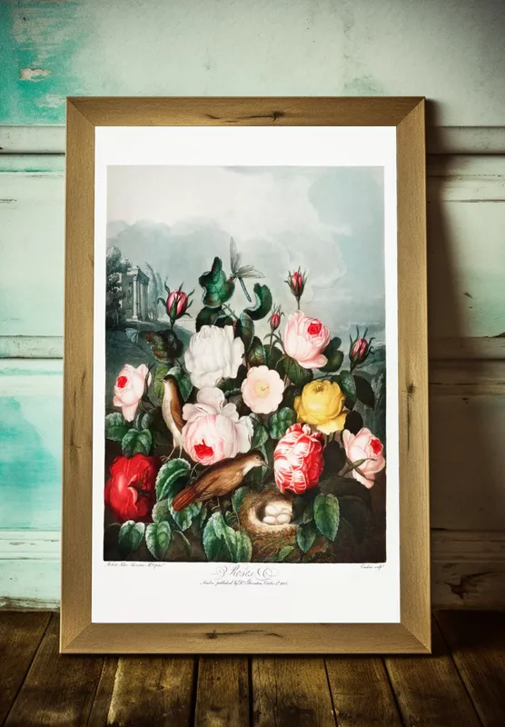 Постер «Ботанические розы» на стене в офисе