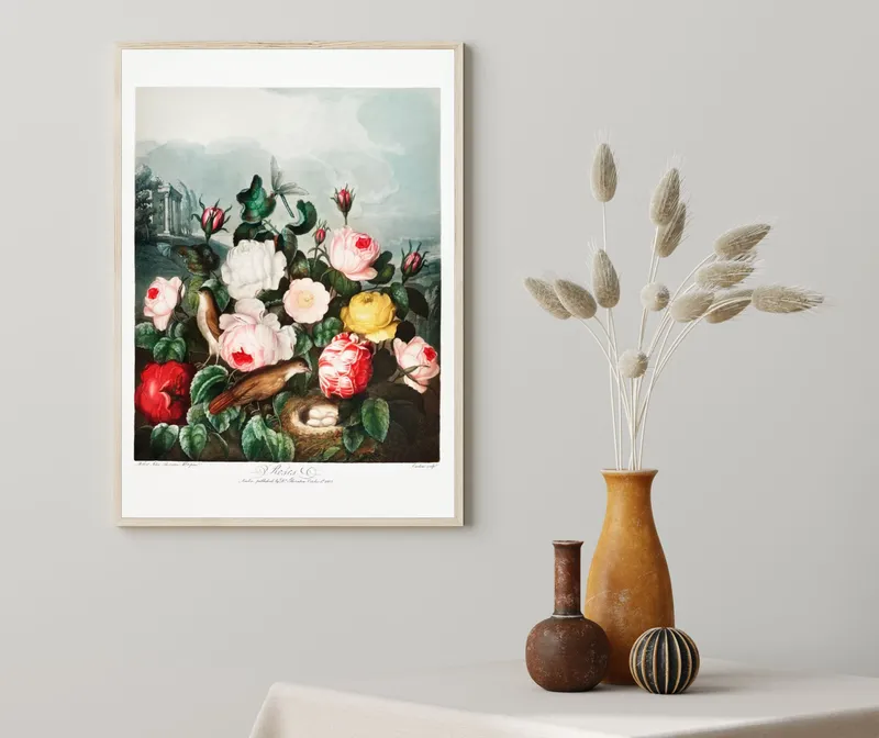 Постер «Ботанические розы» над диваном в гостиной