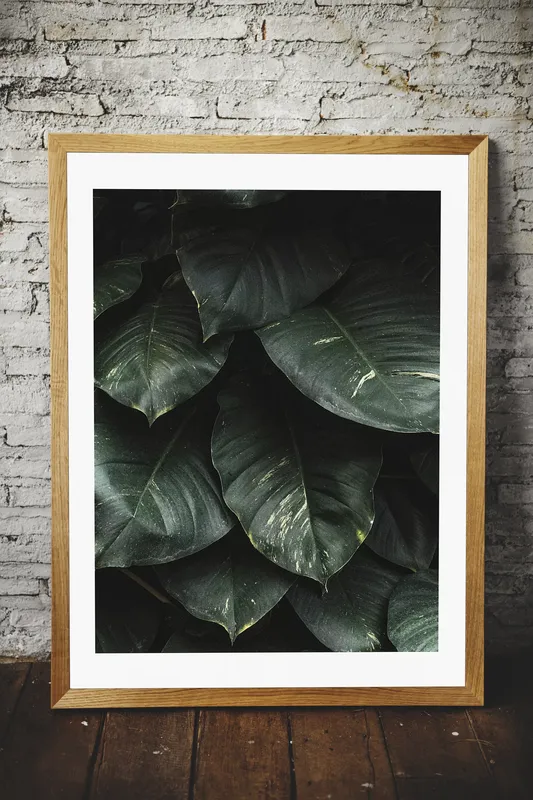 Постер «Листья Монстера» над диваном в гостиной