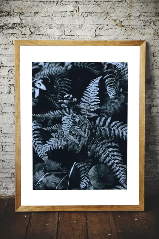 Постер «Холодные Оттенки - Папоротник» на стене в офисе