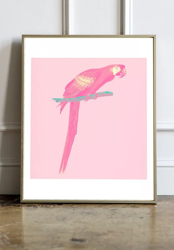 Постер «Розовый Попугай» над диваном в гостиной
