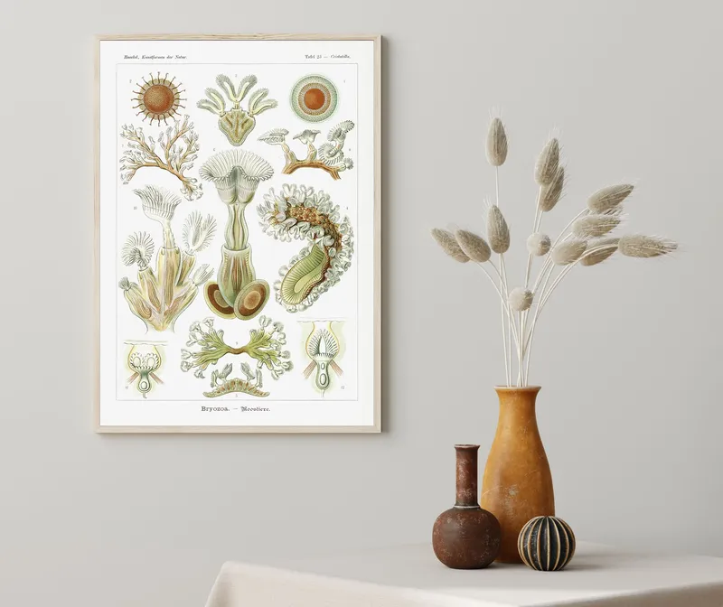 Постер «Мшанки - Bryozoa» над диваном в гостиной