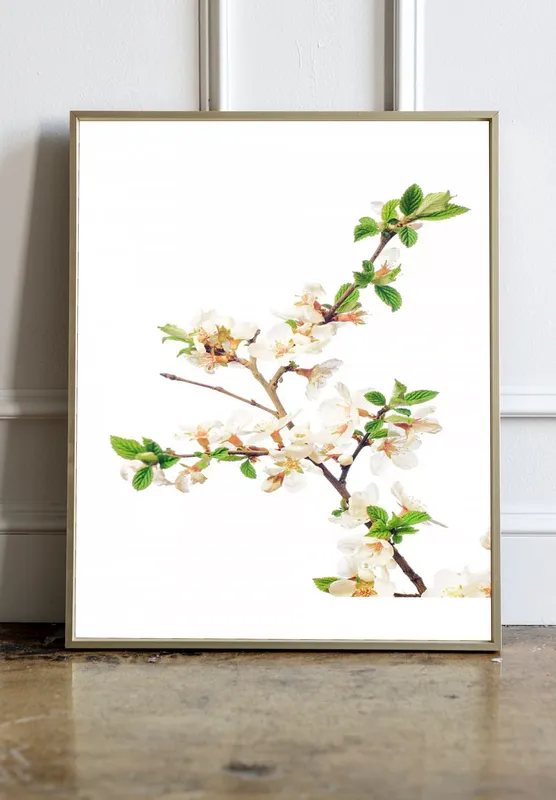 Постер «Весна - Цветущее дерево» на стене в офисе