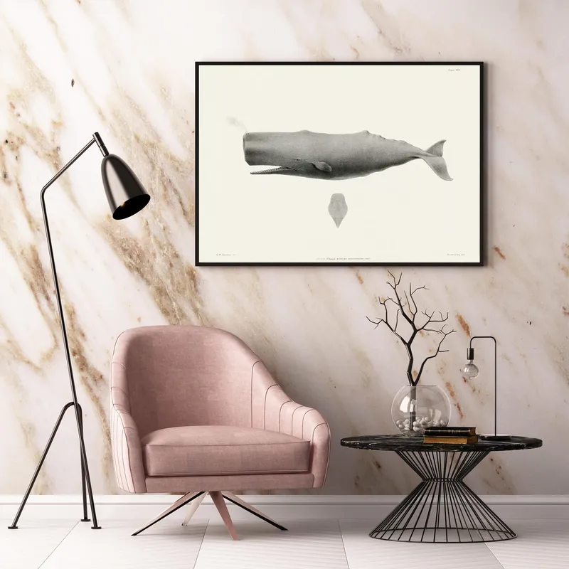 Постер «Большой кашалот» на стене в офисе
