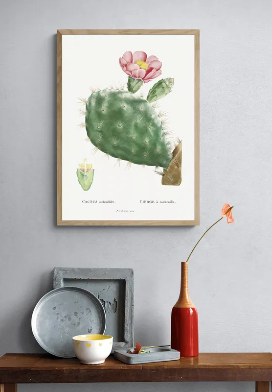 Постер «Кактус Кохениллифер» на стене в офисе