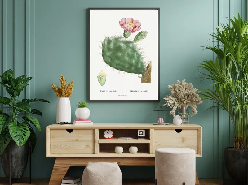 Постер «Кактус Кохениллифер» над диваном в гостиной