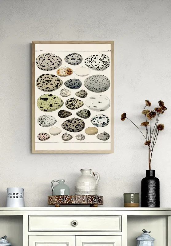 Постер «Коллекция яиц» на стене в офисе