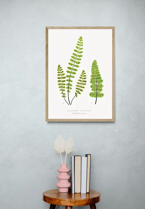 Постер «Листья - Асплениум Петрарки» над диваном в гостиной
