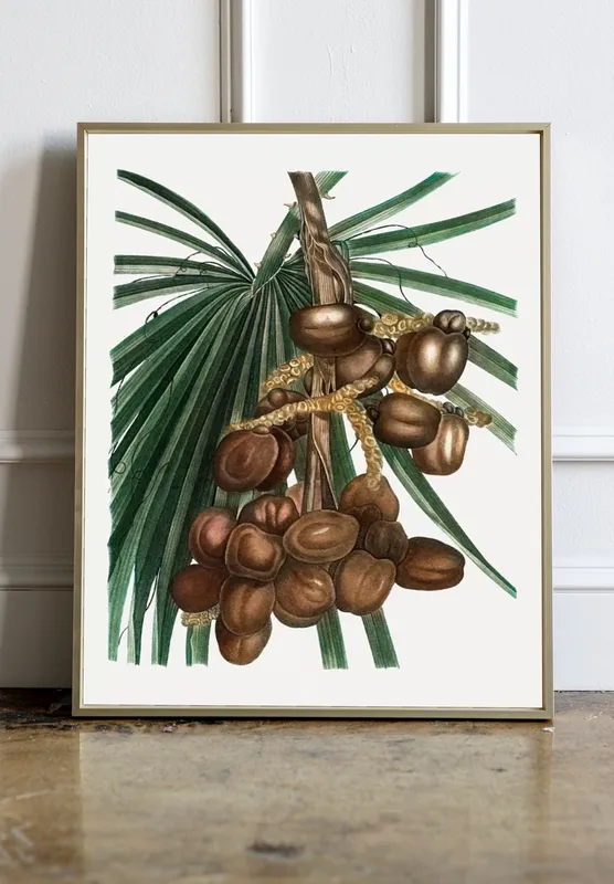 Постер «Пальмы - Финиковая пальма» на стене в офисе