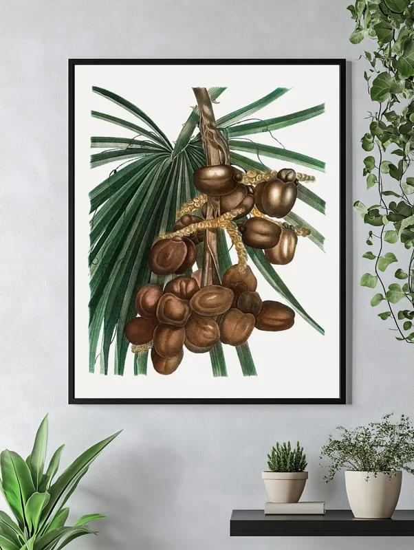 Постер «Пальмы - Финиковая пальма» над диваном в гостиной