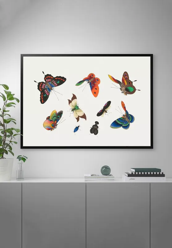 Постер «Порхание бабочек» на стене в офисе