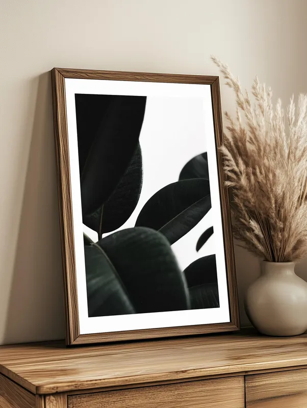 Постер «Листья фикуса» на стене в офисе