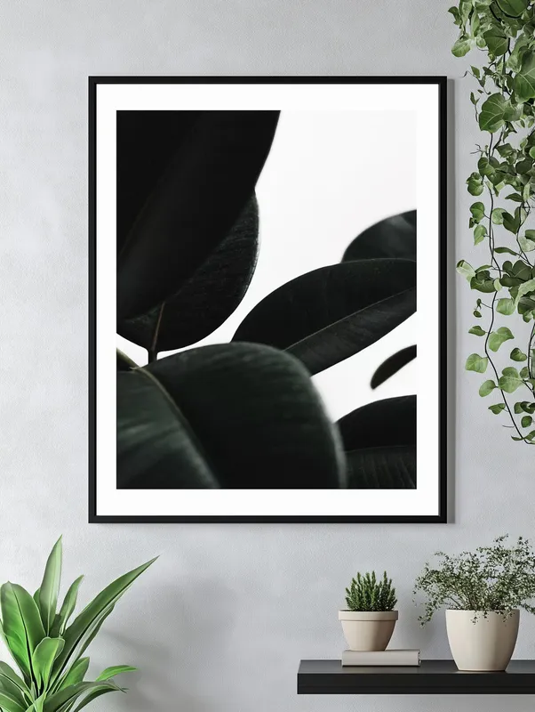 Постер «Листья фикуса» над диваном в гостиной