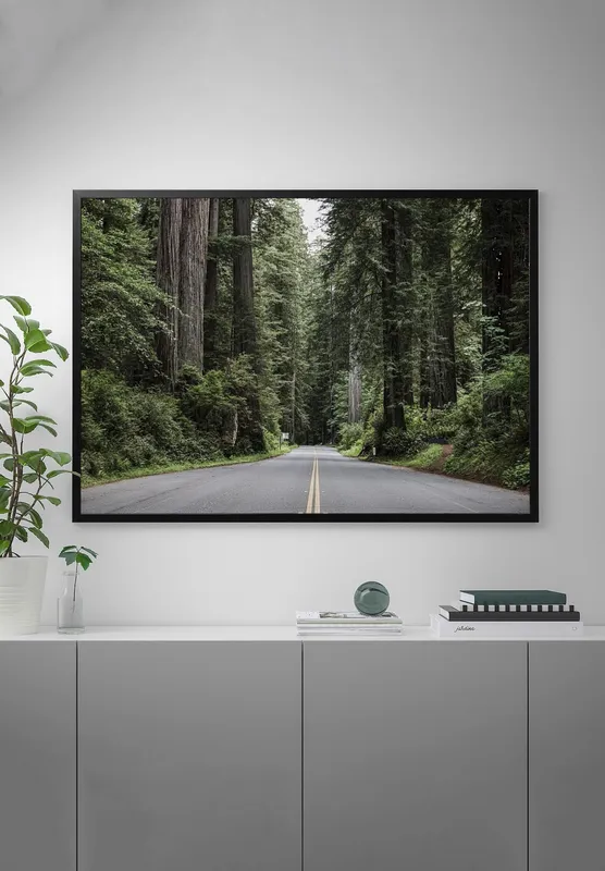 Постер «Национальный парк Рэдвув - Калифорния» на стене в офисе